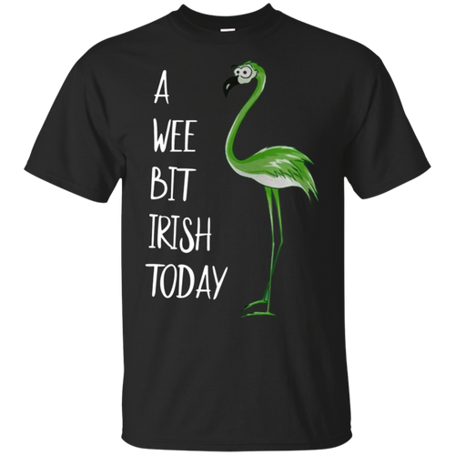 Flamingo A Wee Bit Irish Today Black T-Shirt Men